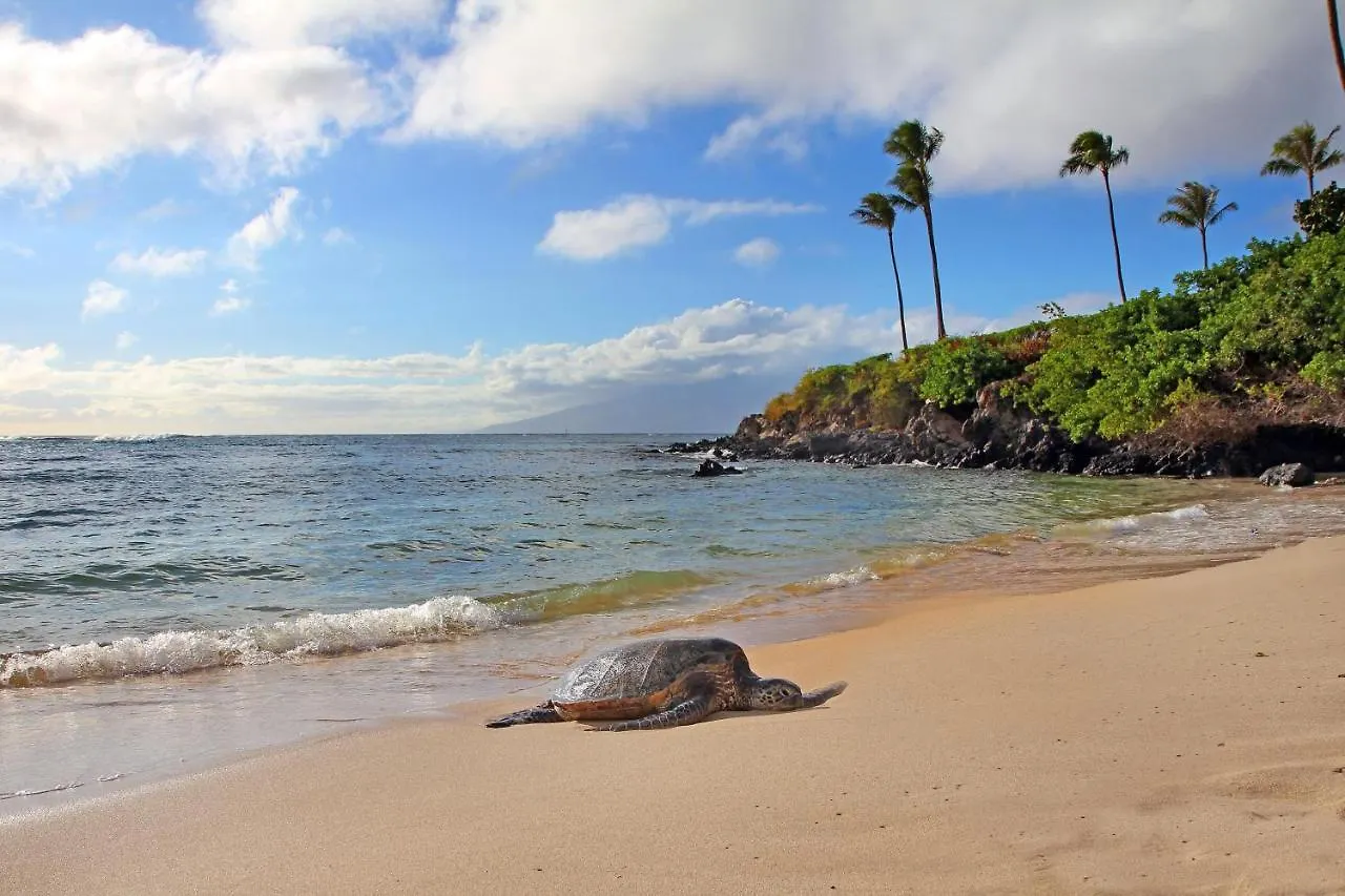 Kapalua Ridge Villas 2614 Kahana 0*,  Ηνωμένες Πολιτείες της Αμερικής